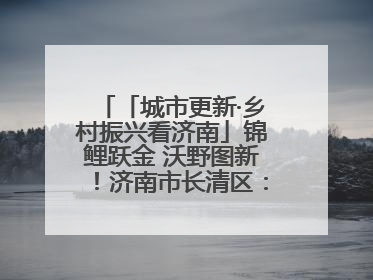 「城市更新·乡村振兴看济南」锦鲤跃金 沃野图新！济南市长清区：小锦鲤大产业 游出农旅新风景