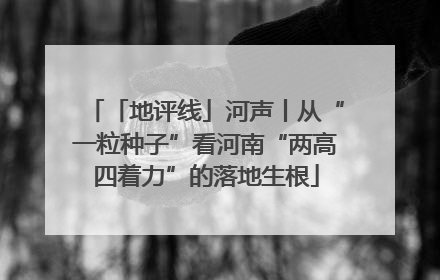 「地评线」河声丨从“一粒种子”看河南“两高四着力”的落地生根