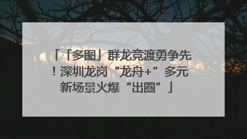 「多图」群龙竞渡勇争先！深圳龙岗“龙舟+”多元新场景火爆“出圈”