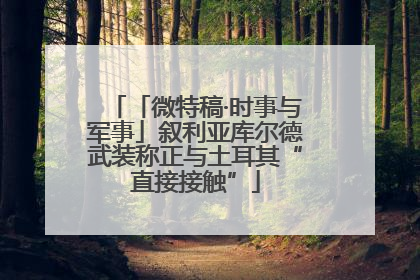 「微特稿·时事与军事」叙利亚库尔德武装称正与土耳其“直接接触”