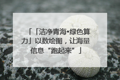 「洁净青海•绿色算力」以数绘图，让海量信息“跑起来”