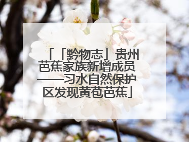 「黔物志」贵州芭蕉家族新增成员——习水自然保护区发现黄苞芭蕉