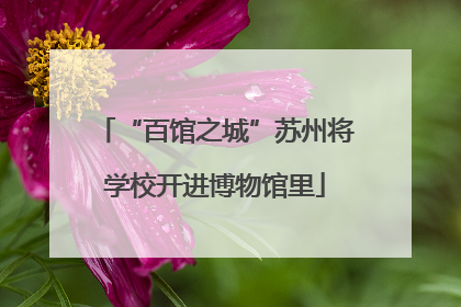 “百馆之城”苏州将学校开进博物馆里