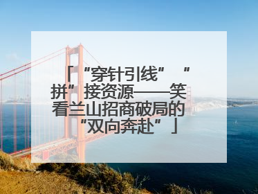 “穿针引线”“拼”接资源——笑看兰山招商破局的“双向奔赴”