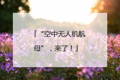 “空中无人机航母”，来了！