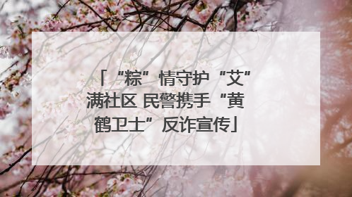 “粽”情守护“艾”满社区 民警携手“黄鹤卫士”反诈宣传
