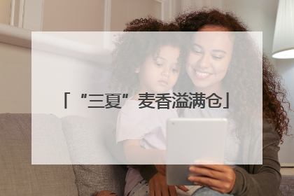 “三夏”麦香溢满仓