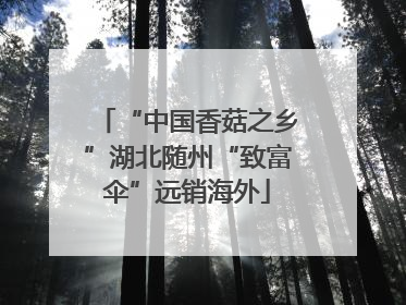 “中国香菇之乡”湖北随州“致富伞”远销海外