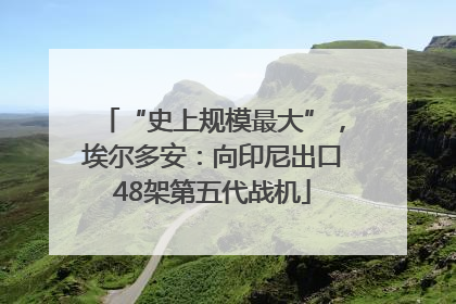 “史上规模最大”，埃尔多安：向印尼出口48架第五代战机