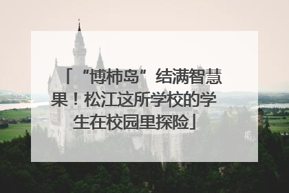 “博柿岛”结满智慧果！松江这所学校的学生在校园里探险