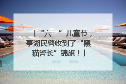 “六一”儿童节，亭湖民警收到了“黑猫警长”锦旗！
