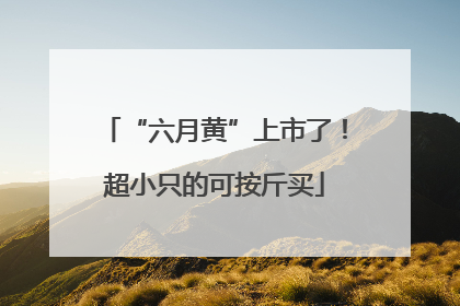 “六月黄”上市了！超小只的可按斤买