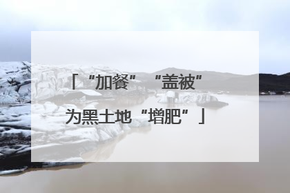 “加餐”“盖被” 为黑土地“增肥”
