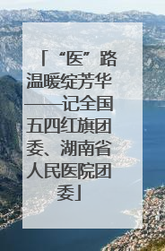 “医”路温暖绽芳华——记全国五四红旗团委、湖南省人民医院团委