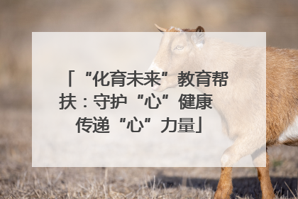 “化育未来”教育帮扶：守护“心”健康 传递“心”力量