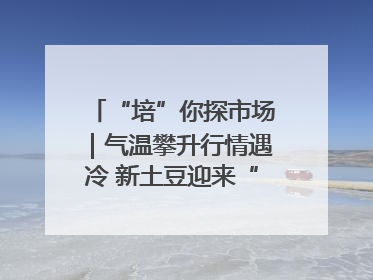 “培”你探市场｜气温攀升行情遇冷 新土豆迎来“熊市”？