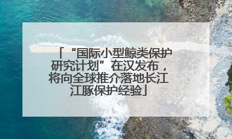 “国际小型鲸类保护研究计划”在汉发布，将向全球推介落地长江江豚保护经验