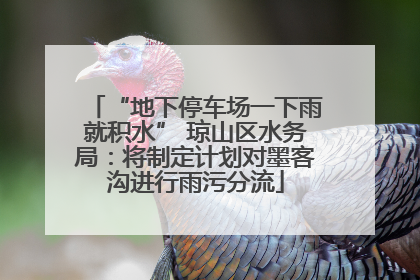 “地下停车场一下雨就积水” 琼山区水务局：将制定计划对墨客沟进行雨污分流