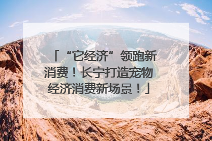 “它经济”领跑新消费！长宁打造宠物经济消费新场景！