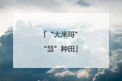 “大米哥”“慧”种田