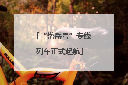 “岱岳号”专线列车正式起航