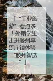 “工业旅游”看点多！外籍学生走进胶州李哥庄镇体验“胶州智造”