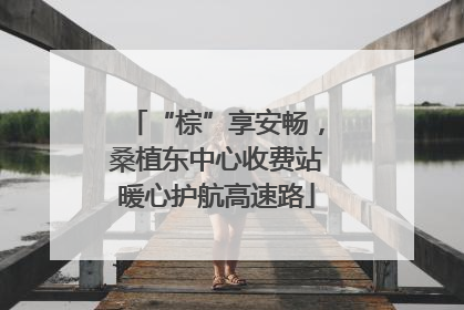 “棕”享安畅，桑植东中心收费站暖心护航高速路