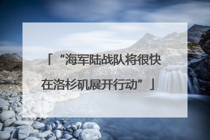 “海军陆战队将很快在洛杉矶展开行动”