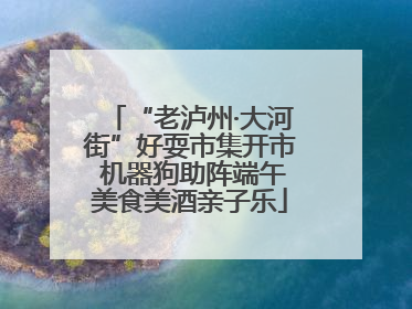 “老泸州·大河街”好耍市集开市 机器狗助阵端午美食美酒亲子乐