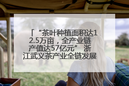 “茶叶种植面积达12.5万亩，全产业链产值达57亿元” 浙江武义茶产业全链发展“加速度”