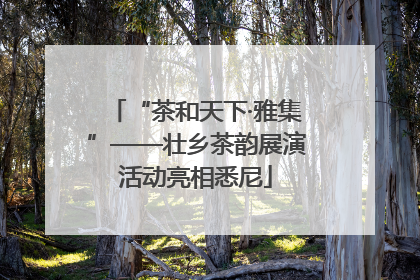 “茶和天下·雅集”——壮乡茶韵展演活动亮相悉尼