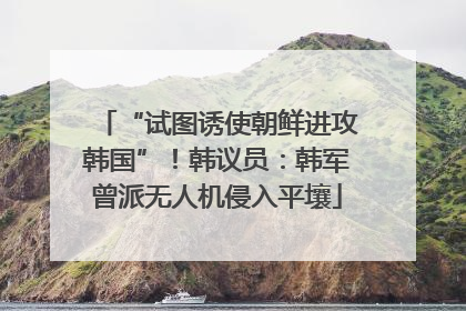 “试图诱使朝鲜进攻韩国”！韩议员：韩军曾派无人机侵入平壤