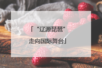 “辽源琵琶” 走向国际舞台