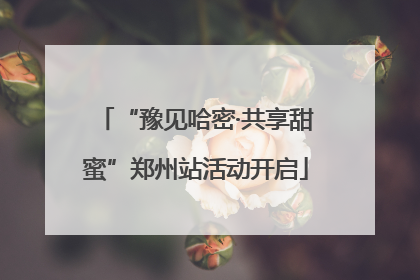 “豫见哈密·共享甜蜜”郑州站活动开启