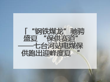 “钢铁煤龙”驰骋盛夏 “保供赛道”——七台河站电煤保供跑出迎峰度夏 “加速度”