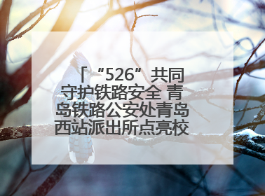 “526”共同守护铁路安全 青岛铁路公安处青岛西站派出所点亮校园爱路之光