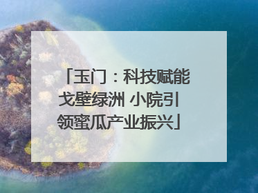 玉门：科技赋能戈壁绿洲 小院引领蜜瓜产业振兴