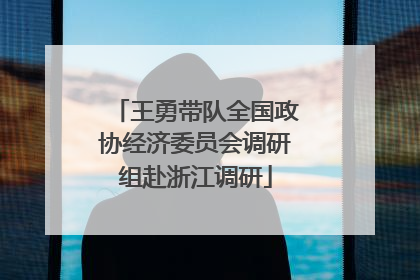 王勇带队全国政协经济委员会调研组赴浙江调研