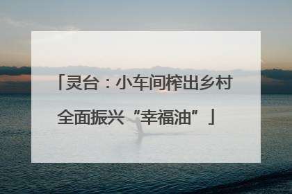 灵台：小车间榨出乡村全面振兴“幸福油”