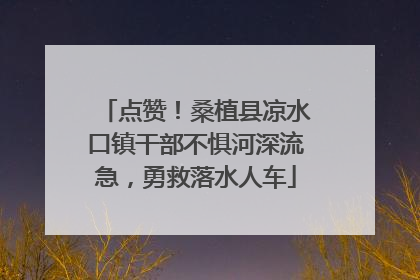 点赞！桑植县凉水口镇干部不惧河深流急，勇救落水人车