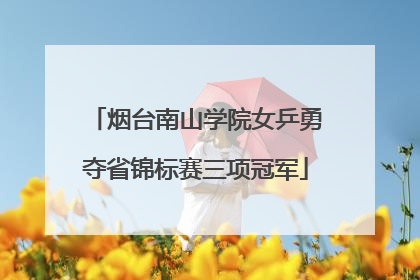 烟台南山学院女乒勇夺省锦标赛三项冠军