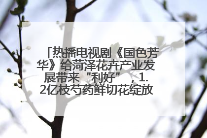 热播电视剧《国色芳华》给菏泽花卉产业发展带来“利好”，1.2亿枝芍药鲜切花绽放“国色芳华”