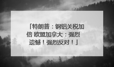 特朗普：钢铝关税加倍 欧盟加拿大：强烈遗憾！强烈反对！