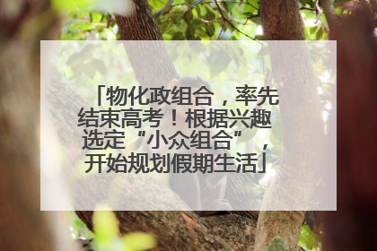 物化政组合，率先结束高考！根据兴趣选定“小众组合”，开始规划假期生活