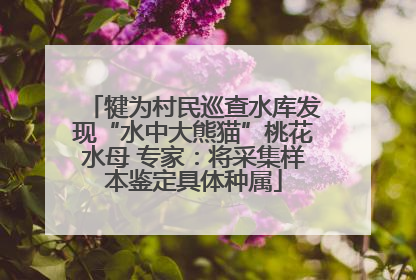 犍为村民巡查水库发现“水中大熊猫”桃花水母 专家：将采集样本鉴定具体种属