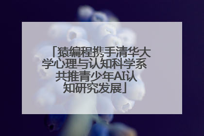 猿编程携手清华大学心理与认知科学系 共推青少年AI认知研究发展