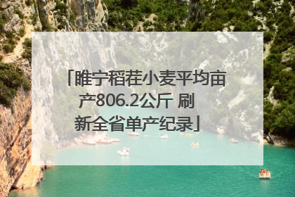 睢宁稻茬小麦平均亩产806.2公斤 刷新全省单产纪录