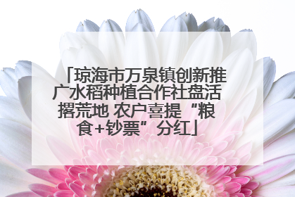琼海市万泉镇创新推广水稻种植合作社盘活撂荒地 农户喜提“粮食+钞票”分红
