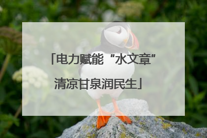 电力赋能“水文章” 清凉甘泉润民生