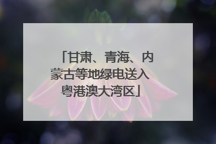 甘肃、青海、内蒙古等地绿电送入粤港澳大湾区